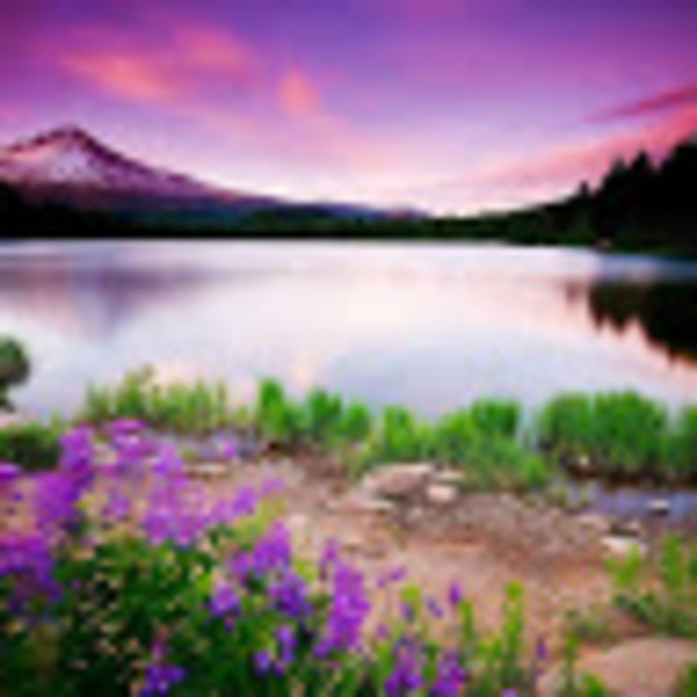 Meet your Posher, Jasmin